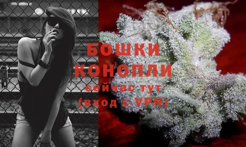 Канабис OG Kush  Кизляр 